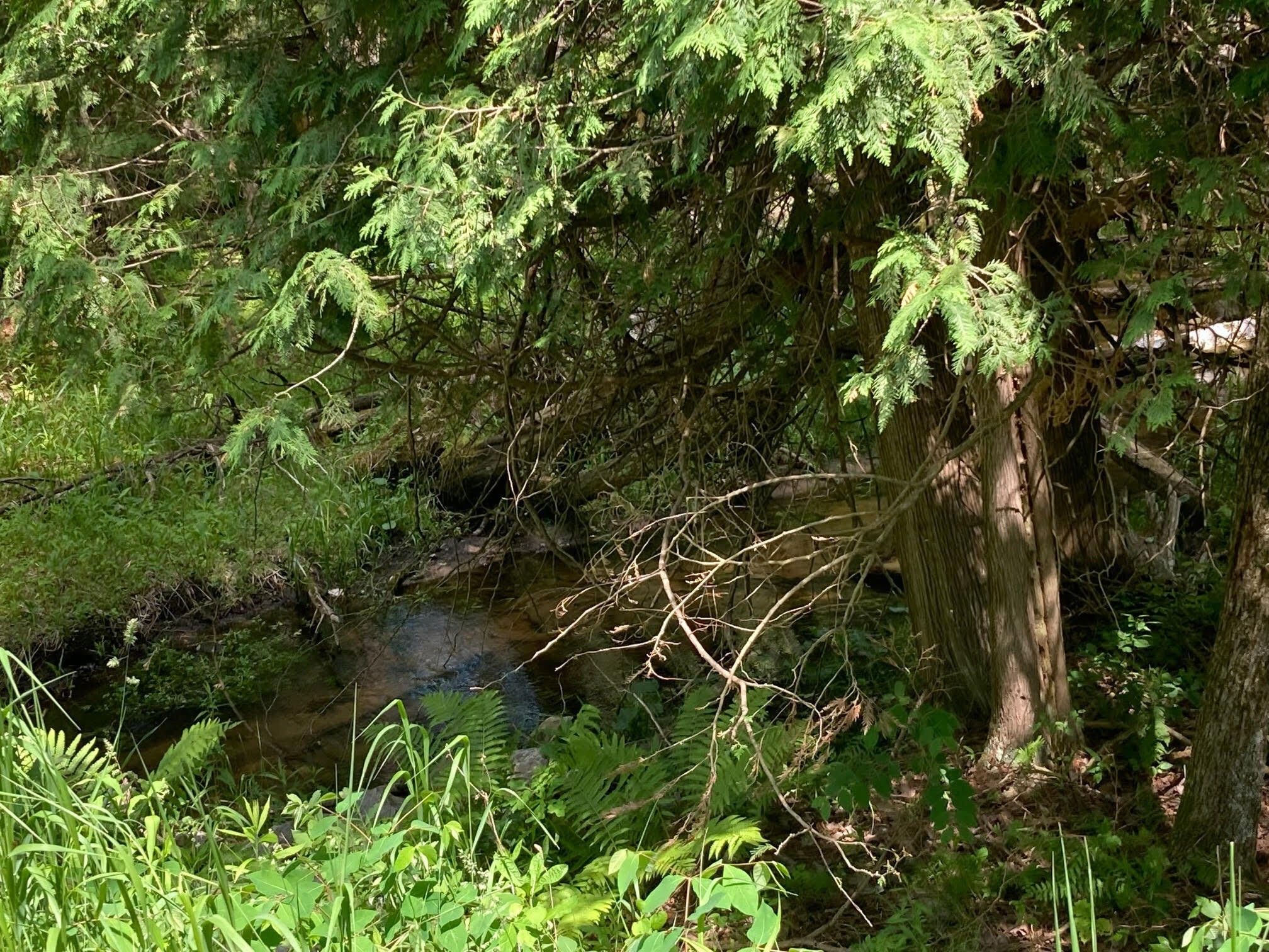 Luther, Lake County, MI Undeveloped Land, Lakefront Property