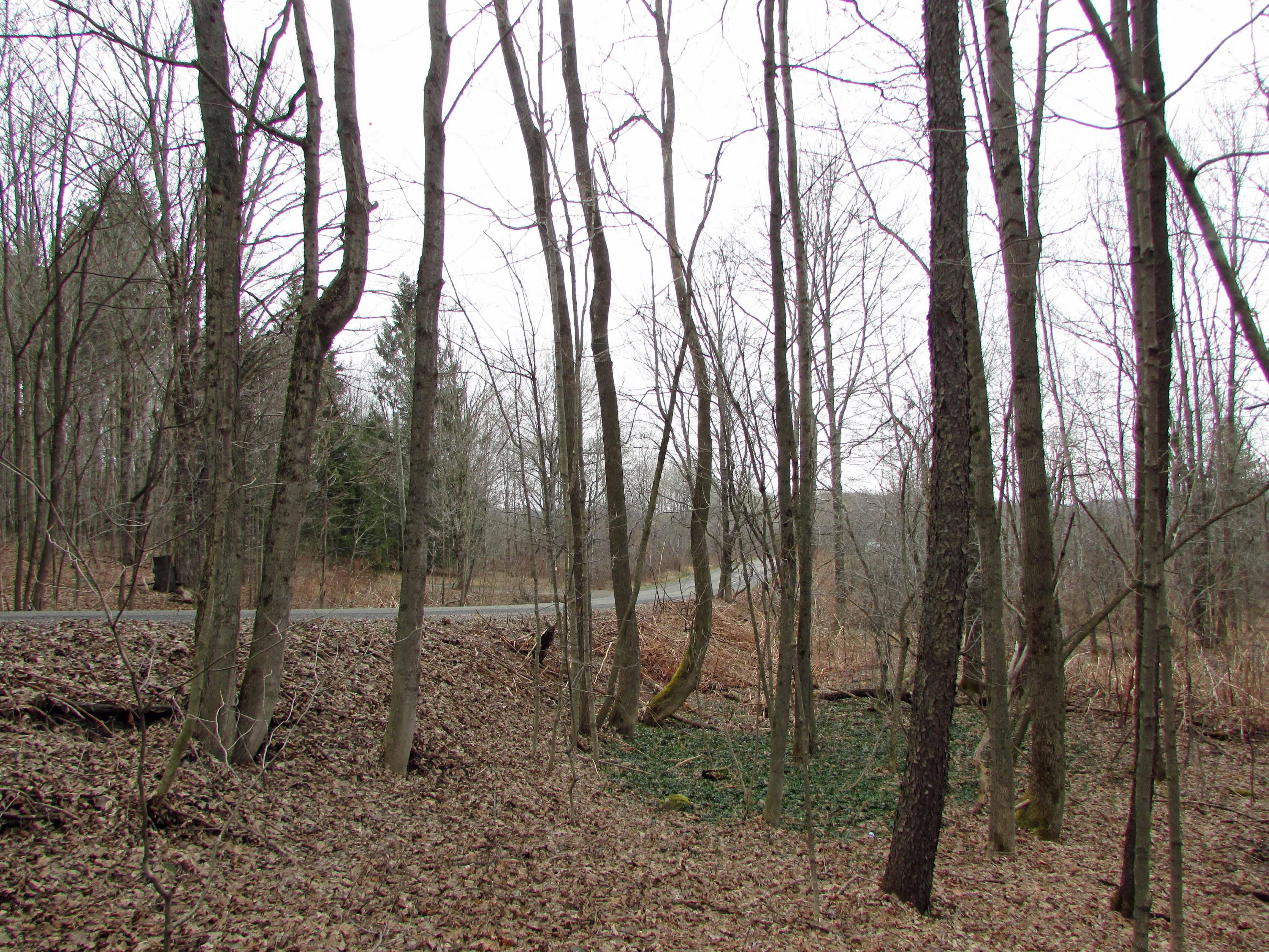 South Plymouth, Chenango County, NY Recreational Property, Undeveloped