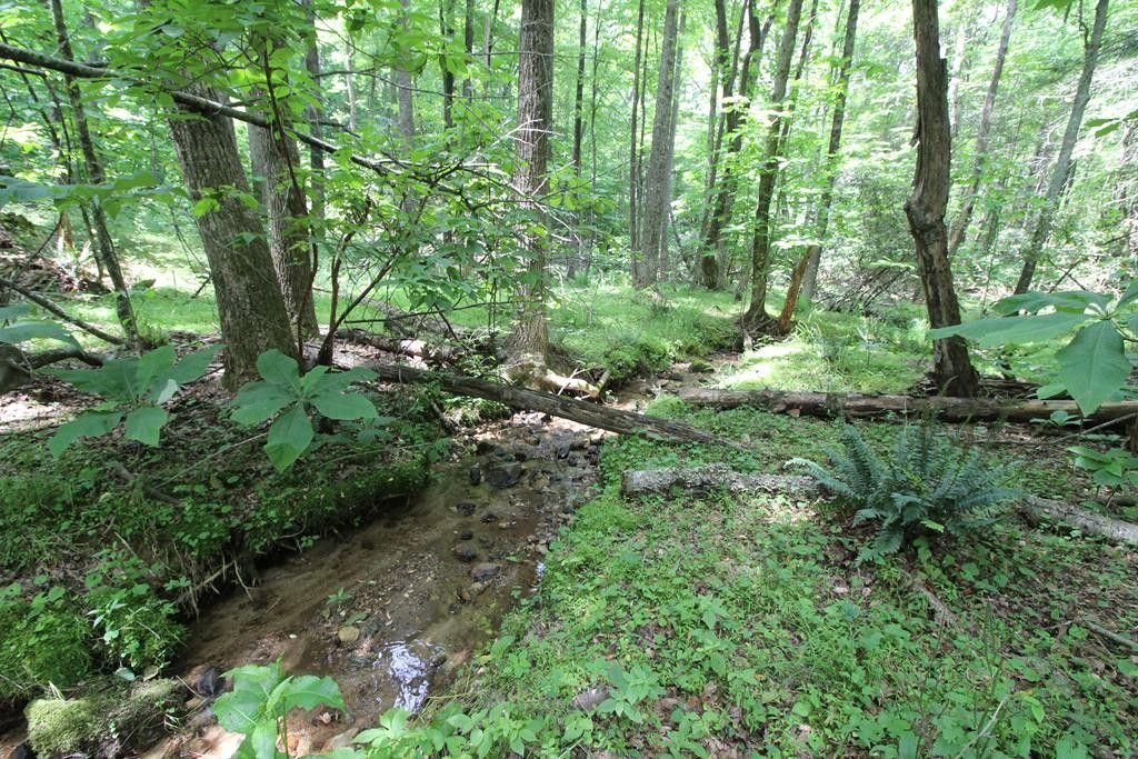 Woodlawn, Carroll County, VA Farms and Ranches for sale Property ID