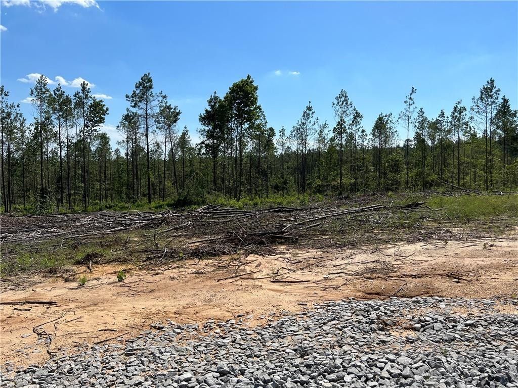 Pollock, Grant Parish, LA Undeveloped Land for sale Property ID