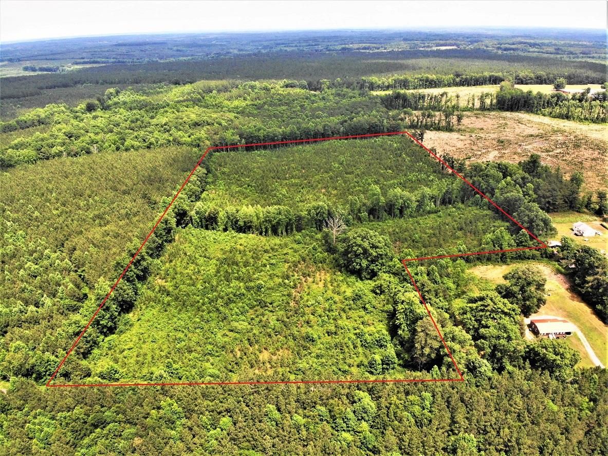 Alberta, Brunswick County, VA Timberland Property, Undeveloped Land