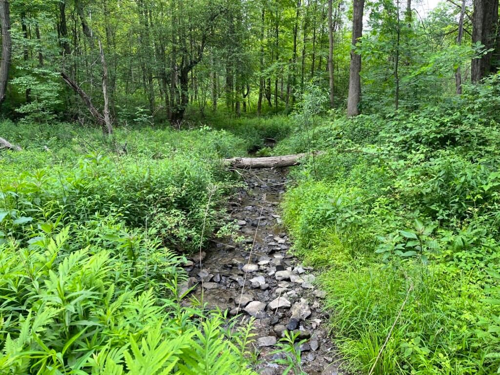 Perrysburg, Cattaraugus County, NY Recreational Property, Hunting