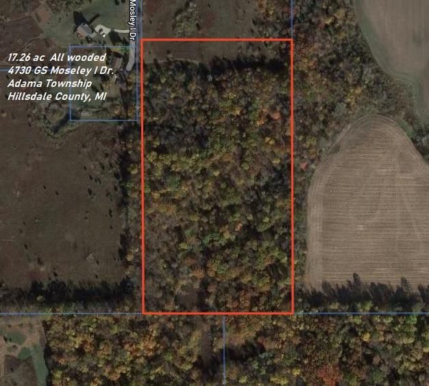 Hillsdale, Hillsdale County, MI Recreational Property, Hunting Property