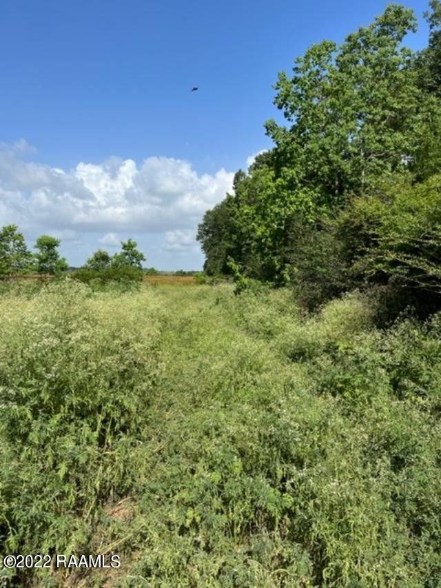 Kaplan, Vermilion Parish, LA Undeveloped Land for sale Property ID