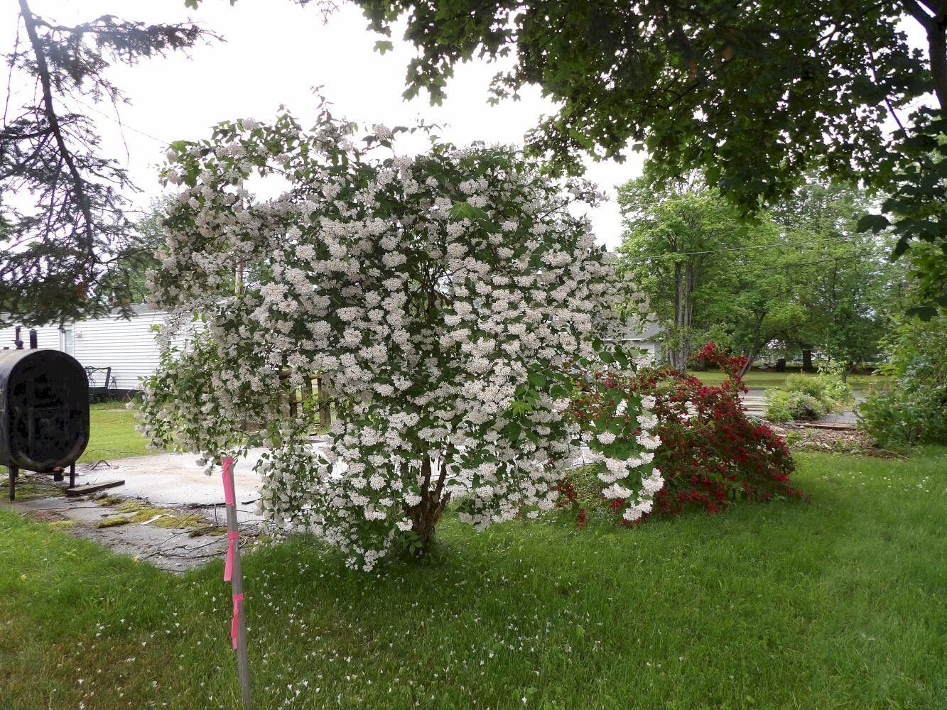 Madison, Somerset County, ME Undeveloped Land, Homesites for sale