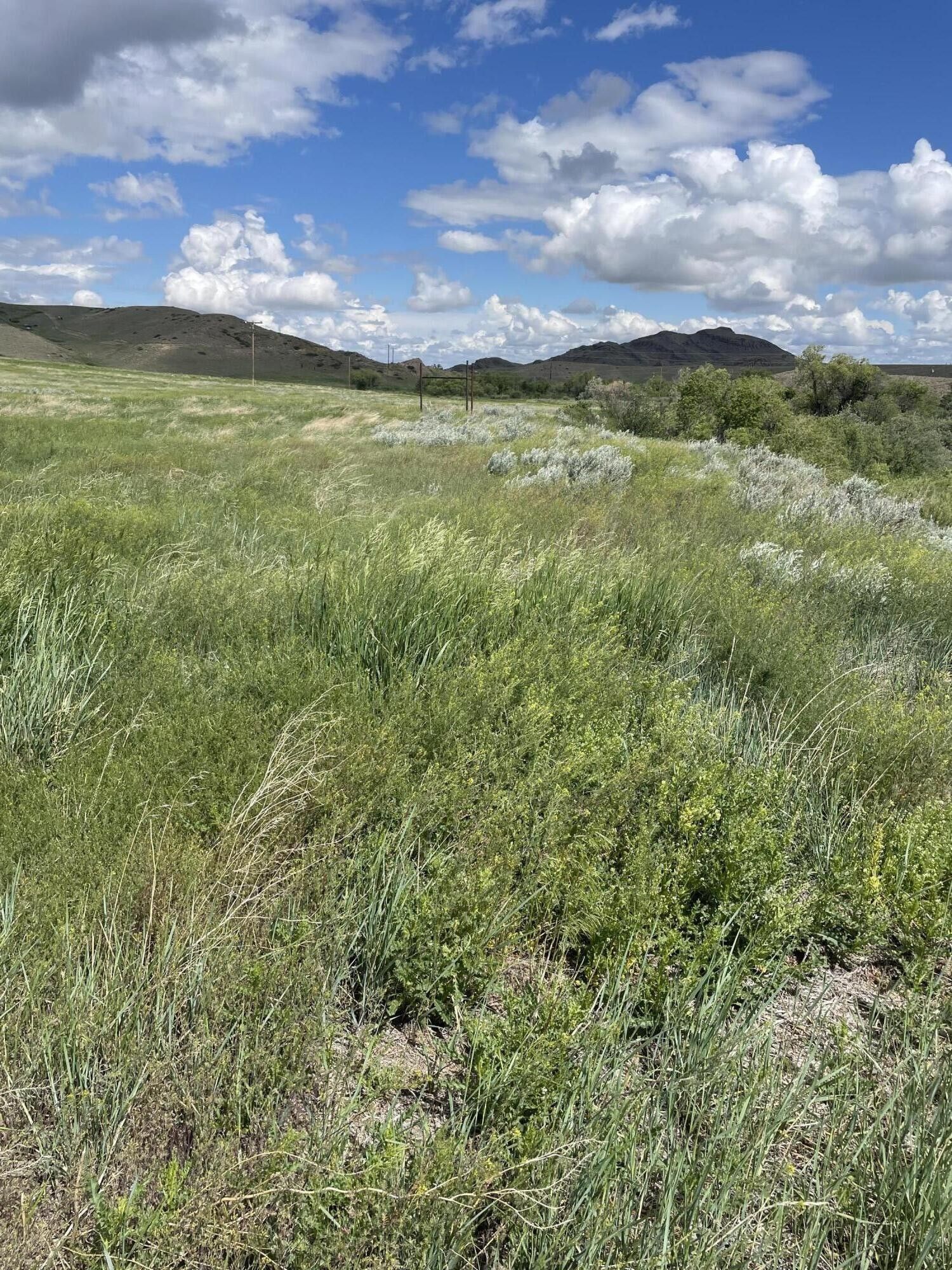 Havre, Hill County, MT Undeveloped Land for sale Property ID 413694693