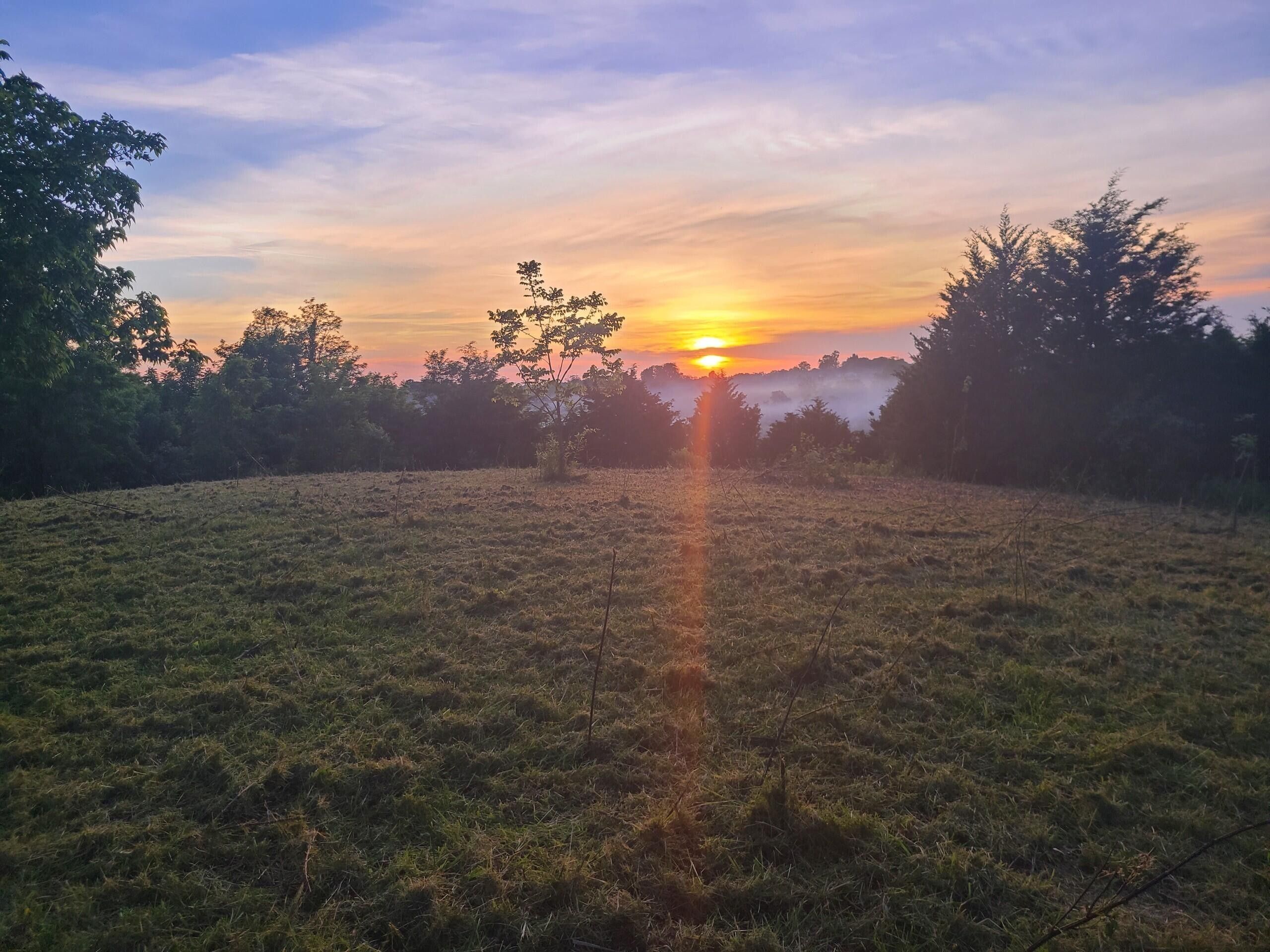 Stamping Ground, Scott County, KY Farms and Ranches for sale Property