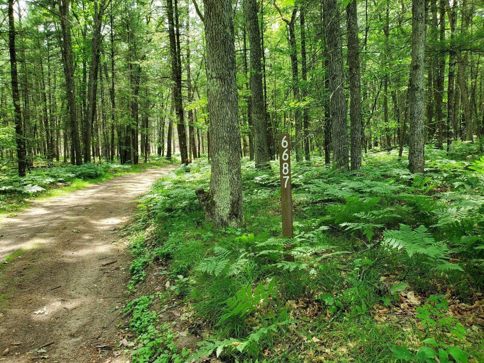 Chase, Lake County, MI Undeveloped Land for sale Property ID 413974663