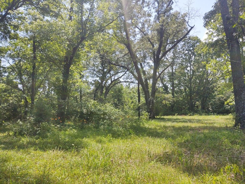 Thayer, Oregon County, MO House for sale Property ID 413975842 LandWatch