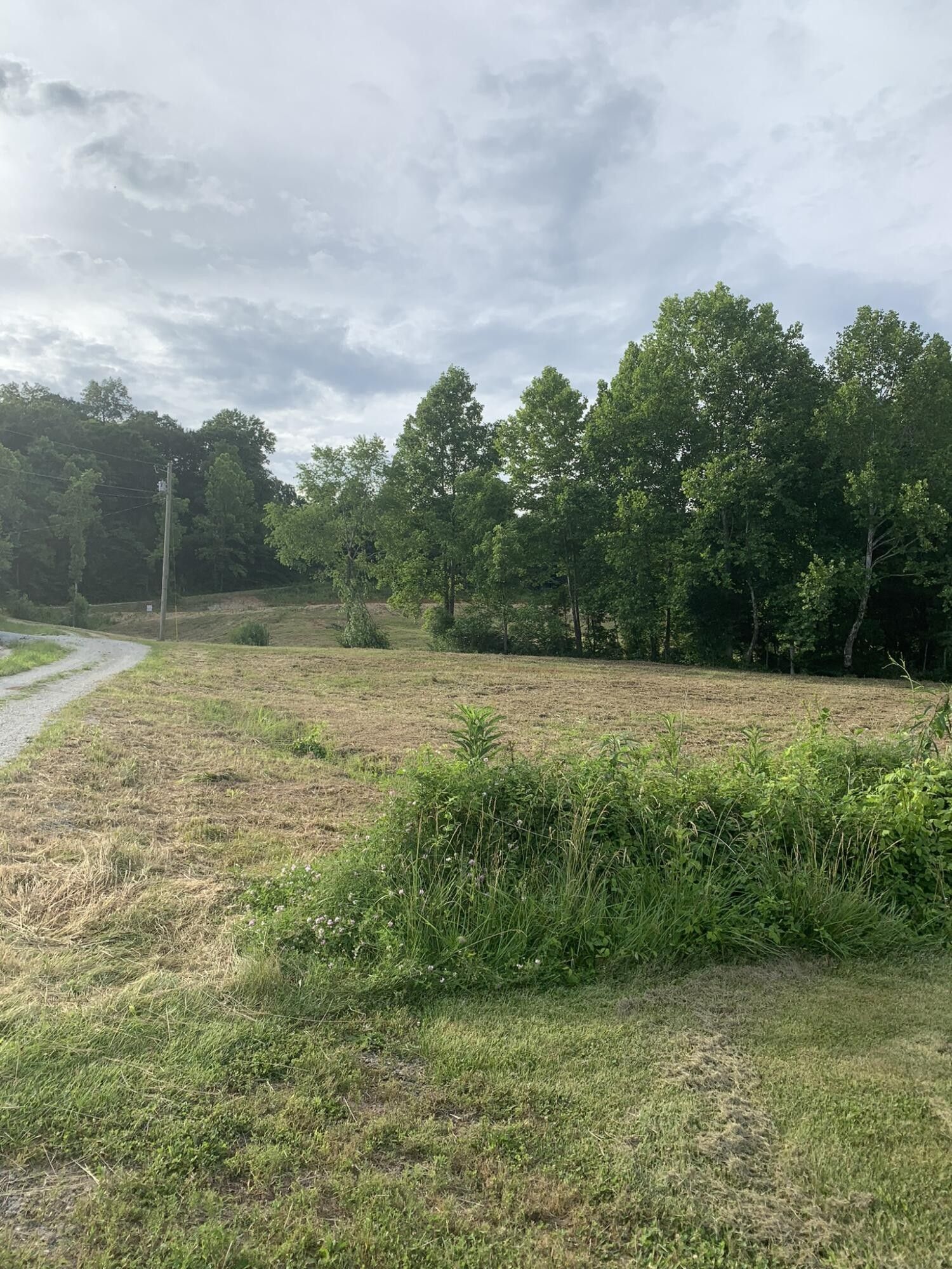 Vanceburg, Lewis County, KY Undeveloped Land, Homesites for sale