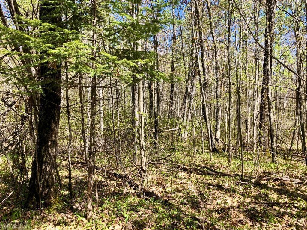 Hinckley, Pine County, MN Undeveloped Land for sale Property ID