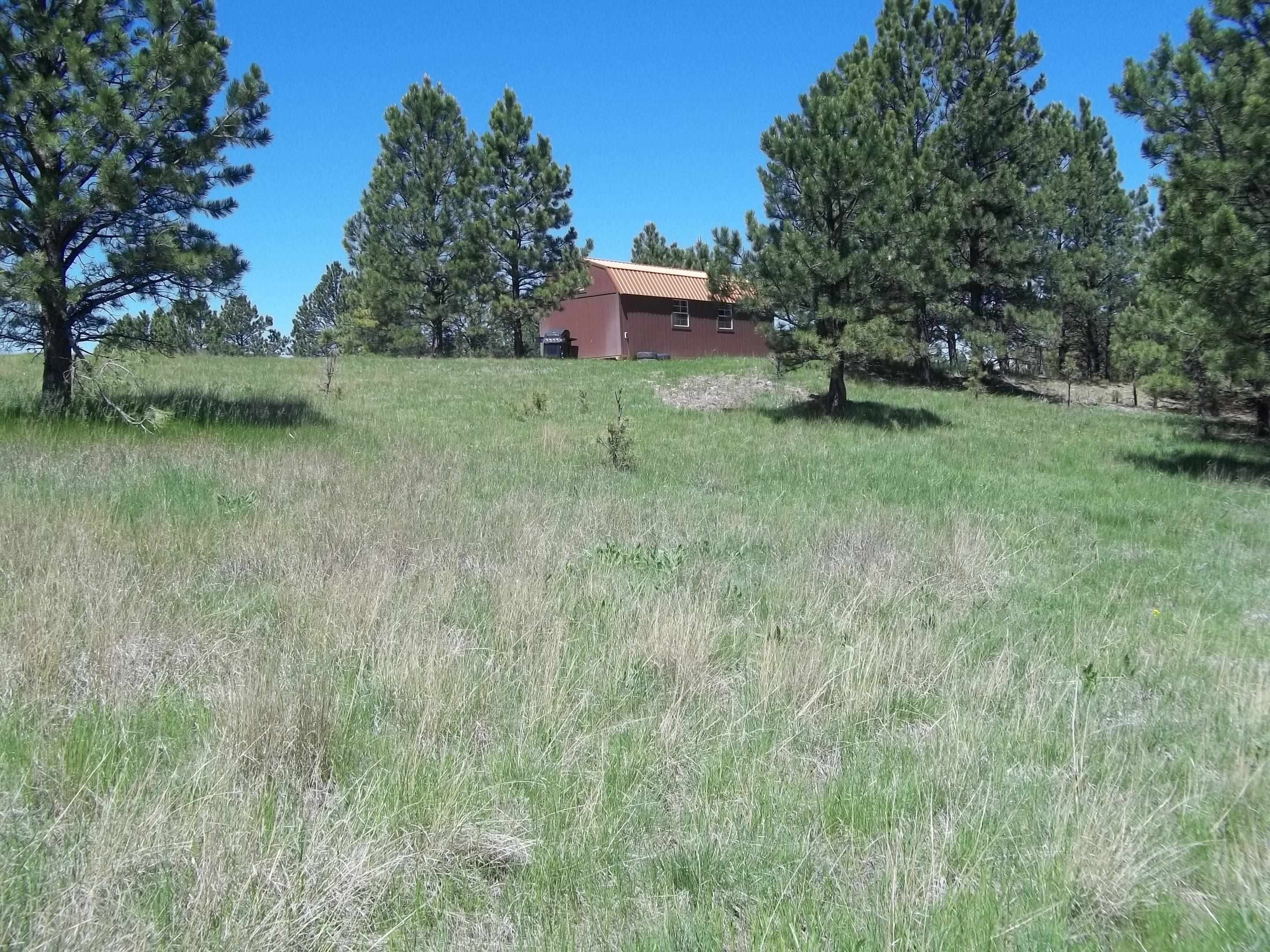 Custer, Custer County, SD Undeveloped Land for sale Property ID