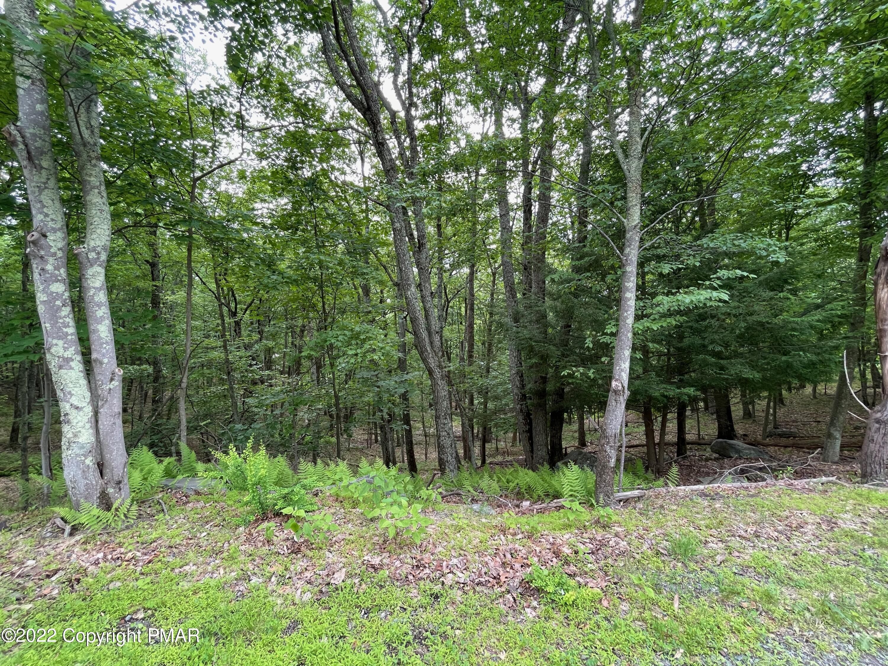 Canadensis, Monroe County, PA Farms and Ranches, Homesites for sale