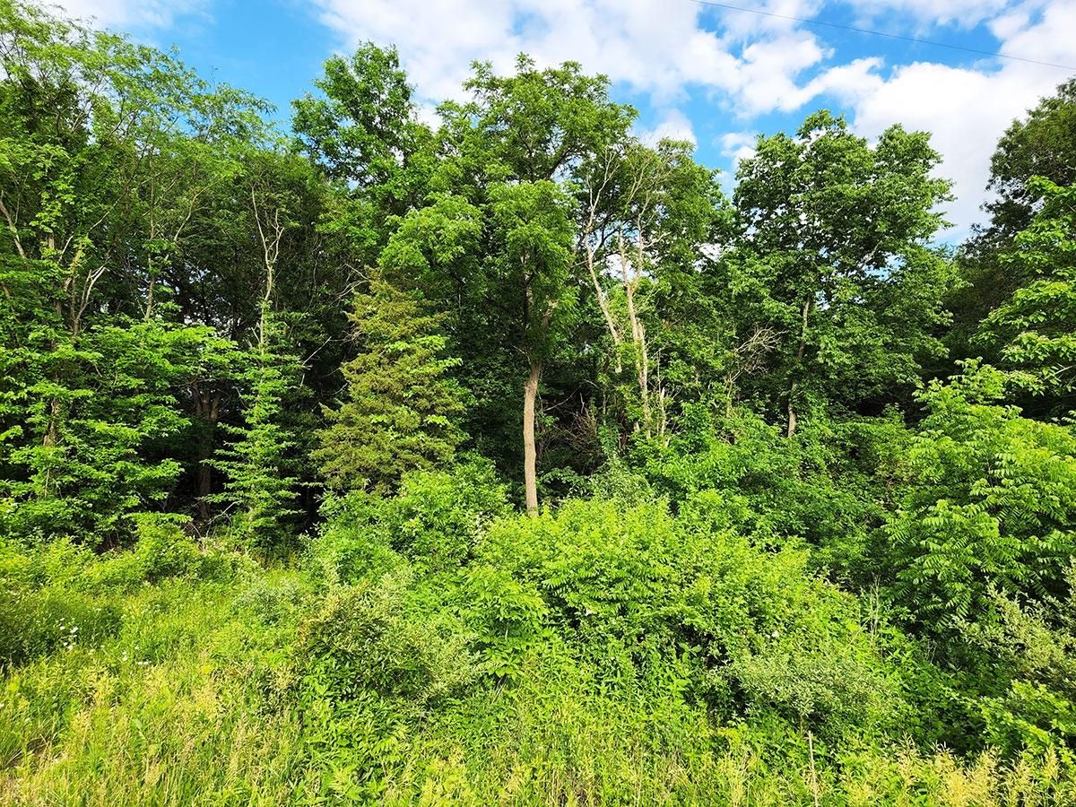 Cainsville, Harrison County, MO Recreational Property, Undeveloped Land