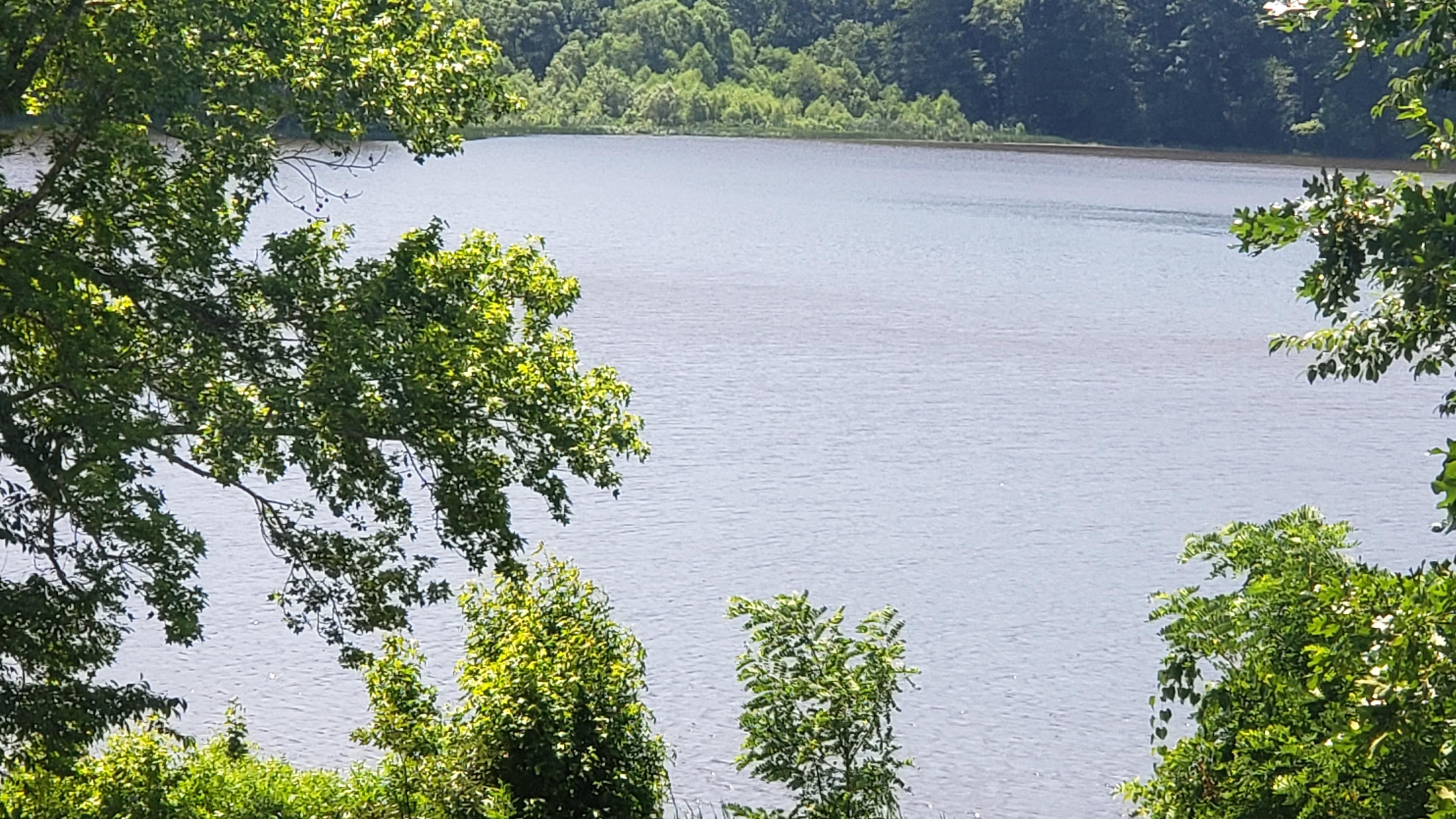 Nathalie, Halifax County, VA Recreational Property, Hunting Property