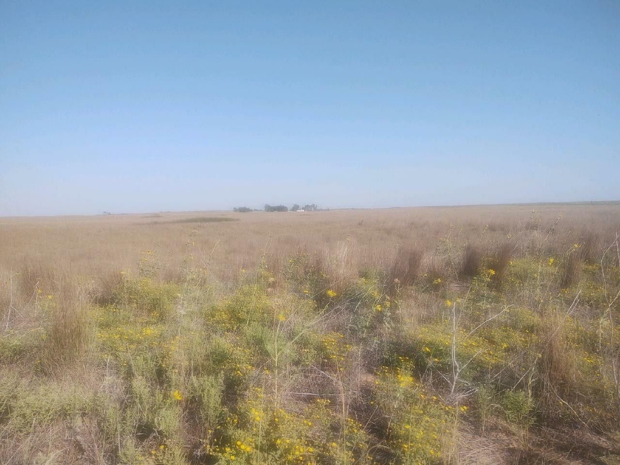 Kismet, Seward County, KS Farms and Ranches for sale Property ID