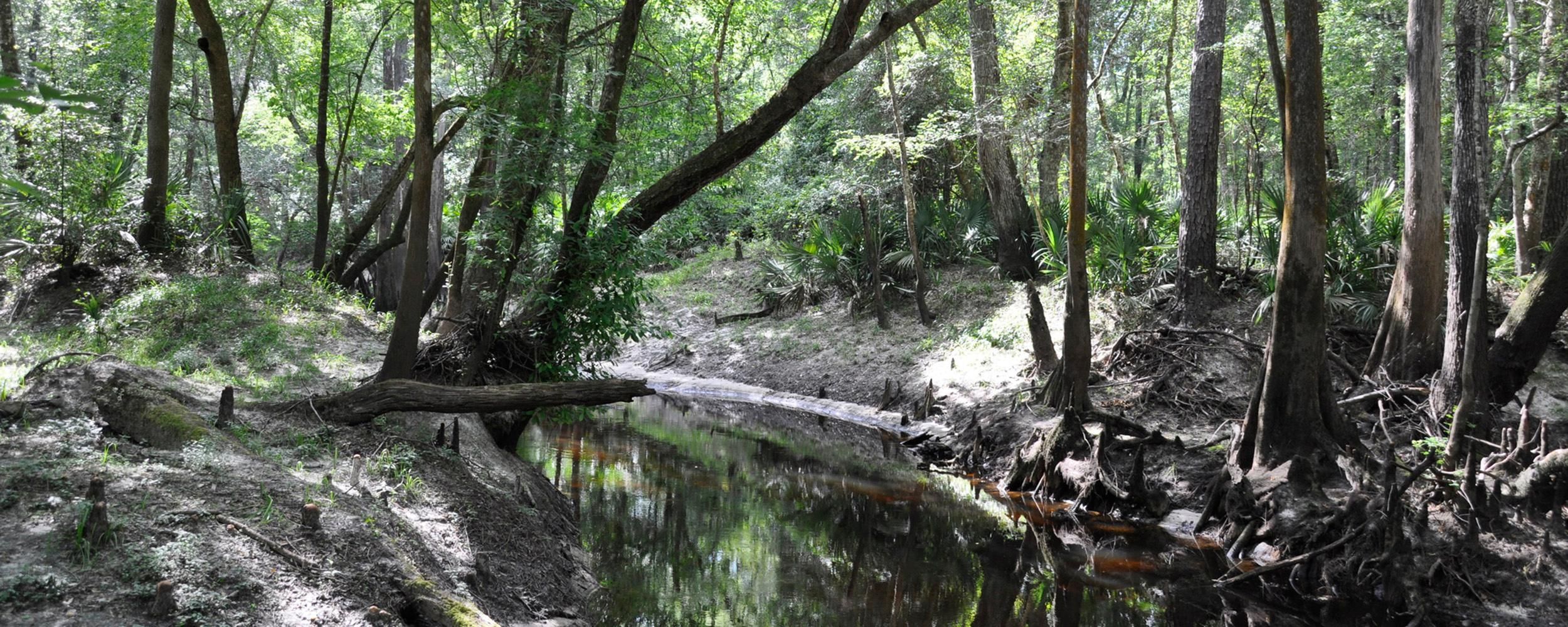 Macclenny, Baker County, FL Recreational Property, Undeveloped Land for