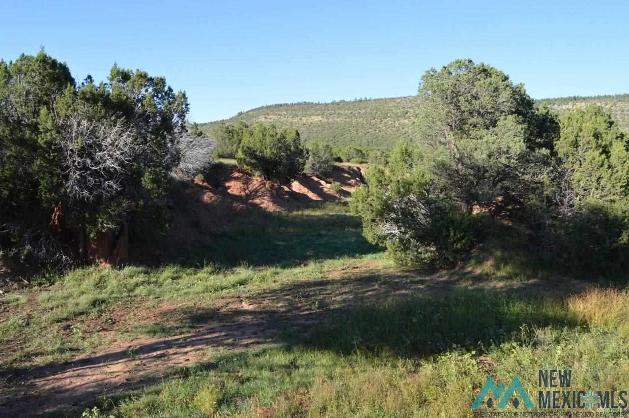 Las Vegas, San Miguel County, NM Undeveloped Land for sale Property ID