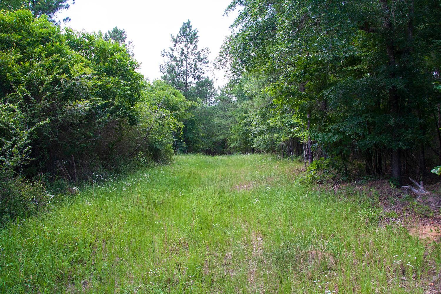 Hephzibah McBean Road, Hephzibah, GA 30815 MLS 901 LandWatch