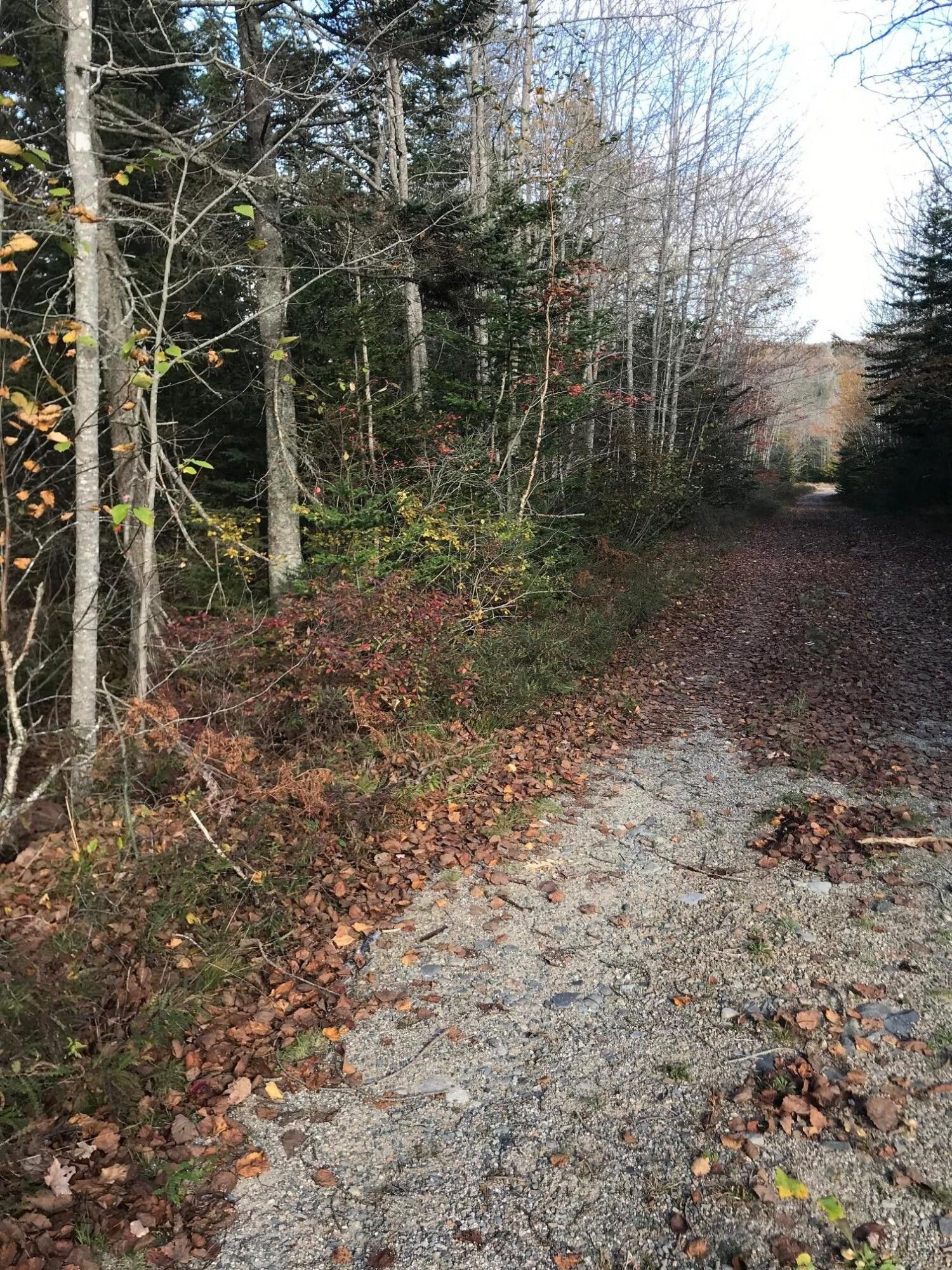 Winter Harbor, Hancock County, ME Undeveloped Land, Homesites for sale
