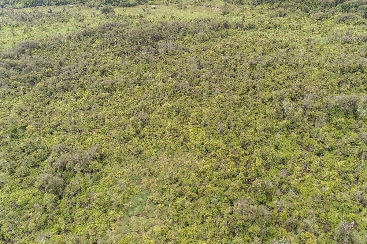 Hilo, Hawaii County, HI Undeveloped Land for sale Property ID