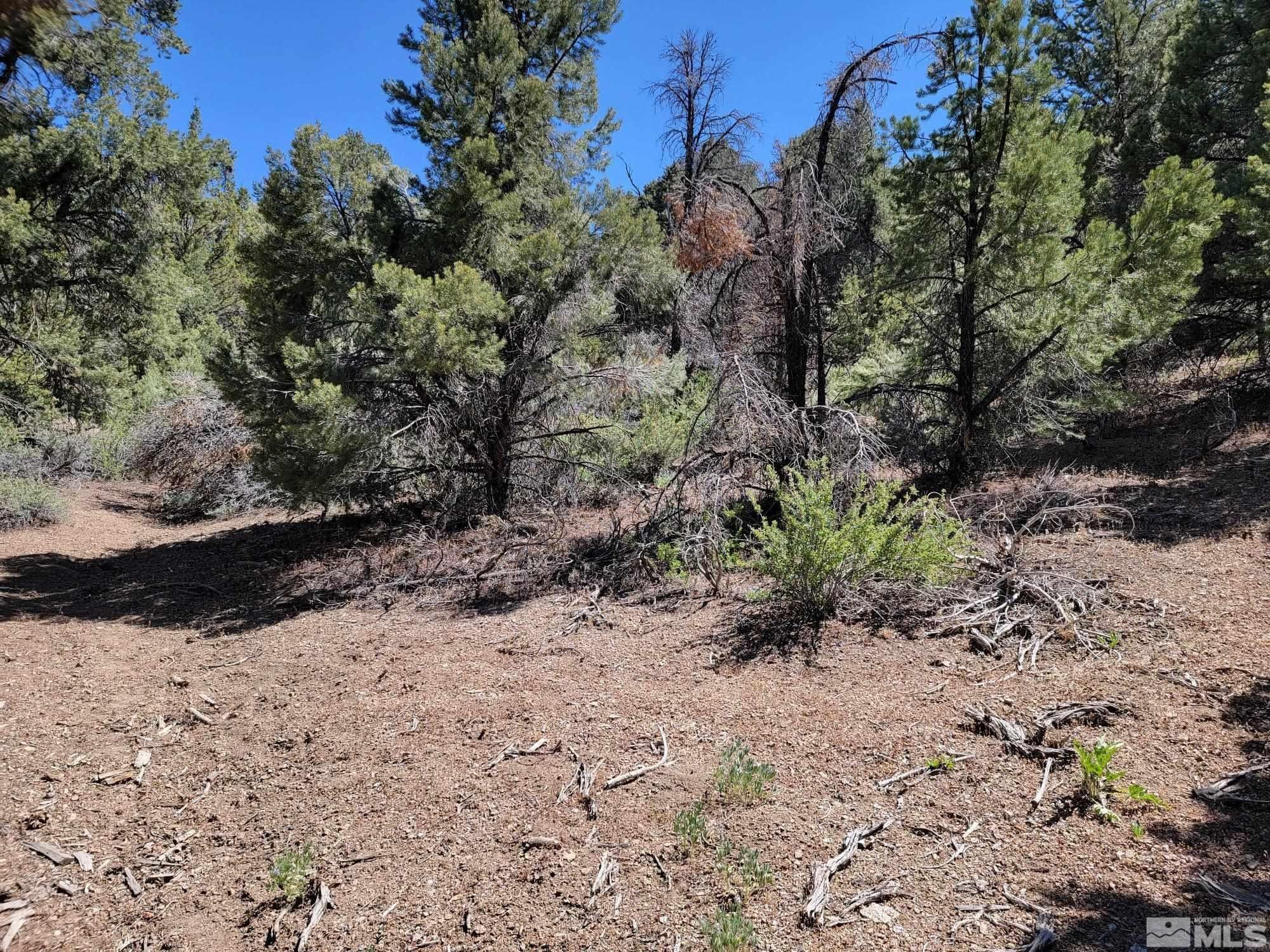 Reno, Storey County, NV Undeveloped Land, Homesites for sale Property