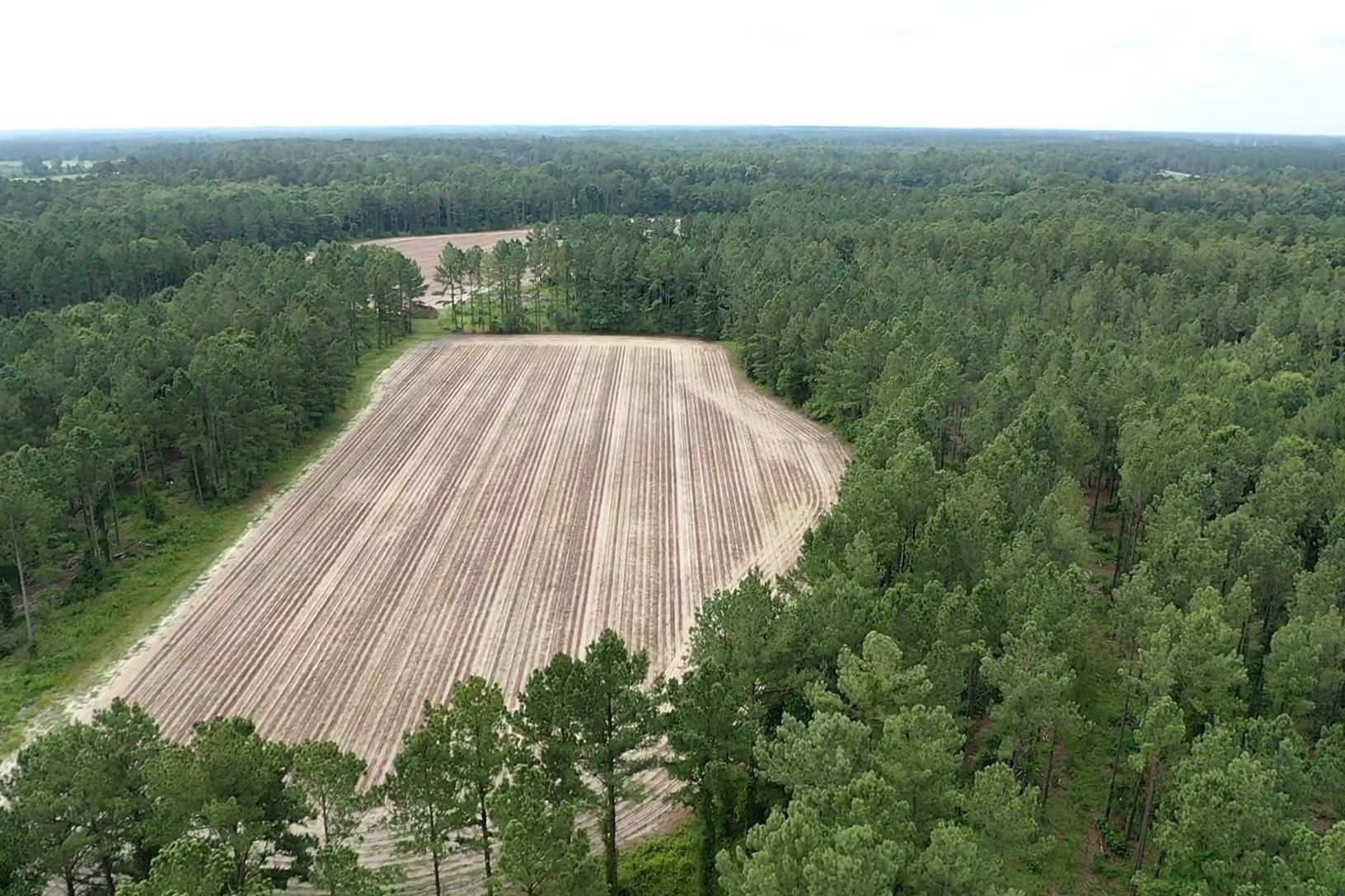 Warwick, Worth County, GA Farms and Ranches, Timberland Property