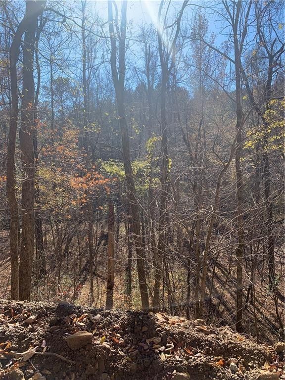 Fairmount, Gordon County, GA Undeveloped Land for sale Property ID