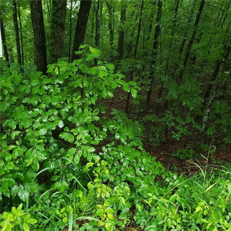 Ranger, Gordon County, GA Undeveloped Land, Homesites for sale Property