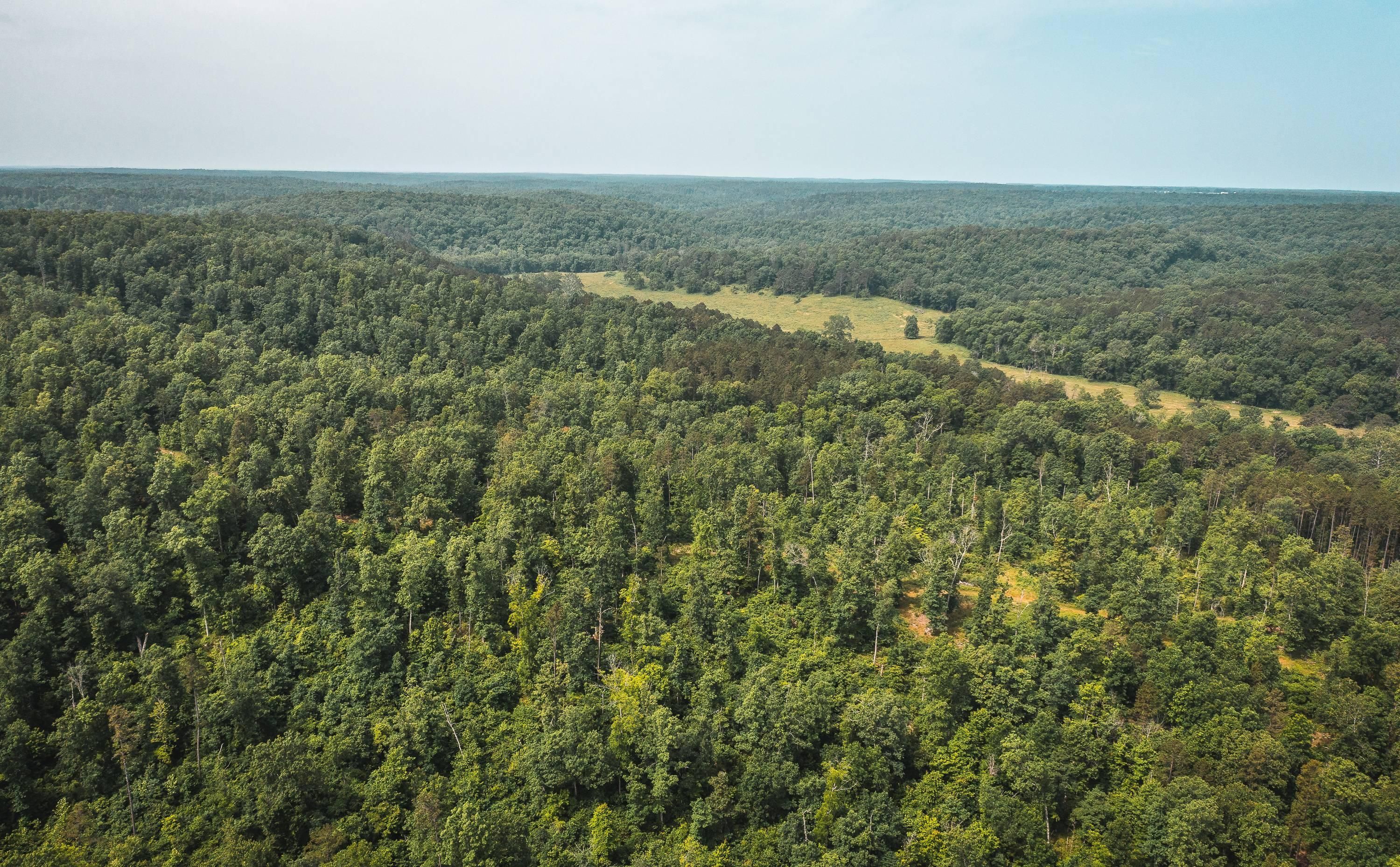 Raymondville, Texas County, MO Farms and Ranches, Recreational Property