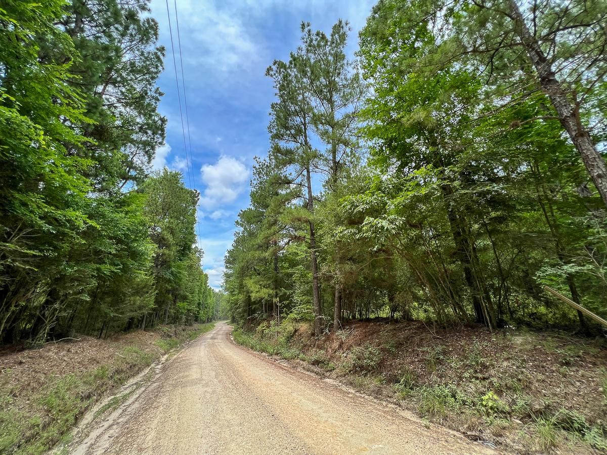 Corrigan, Polk County, TX Recreational Property, Timberland Property