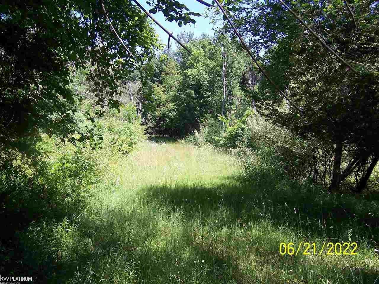 Carsonville, Sanilac County, MI Undeveloped Land, Lakefront Property