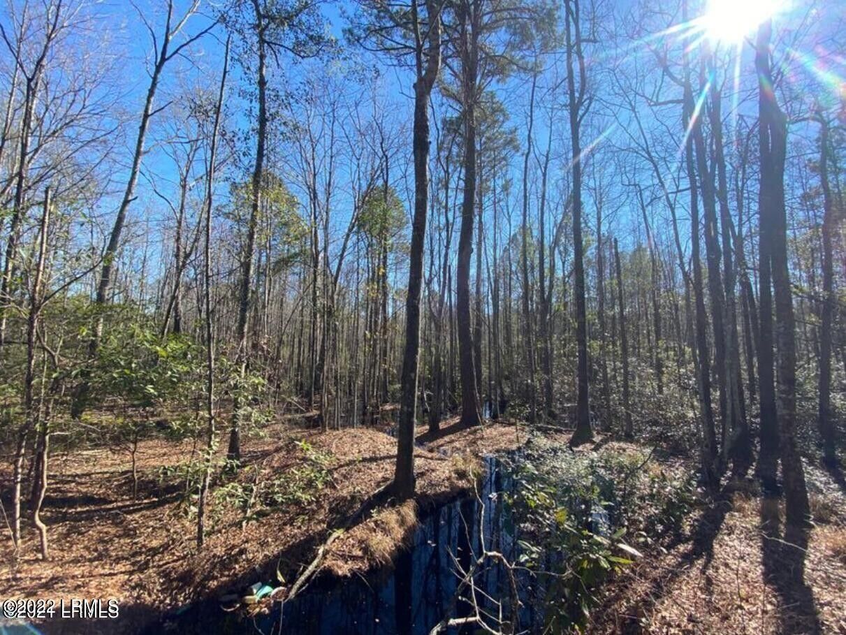 Estill, Beaufort County, SC Commercial Property for sale Property ID