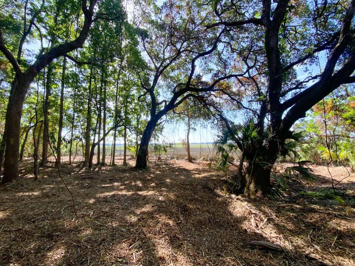 2815 Roseville Road, Wadmalaw Island, SC 29487 MLS 22016617 LandWatch