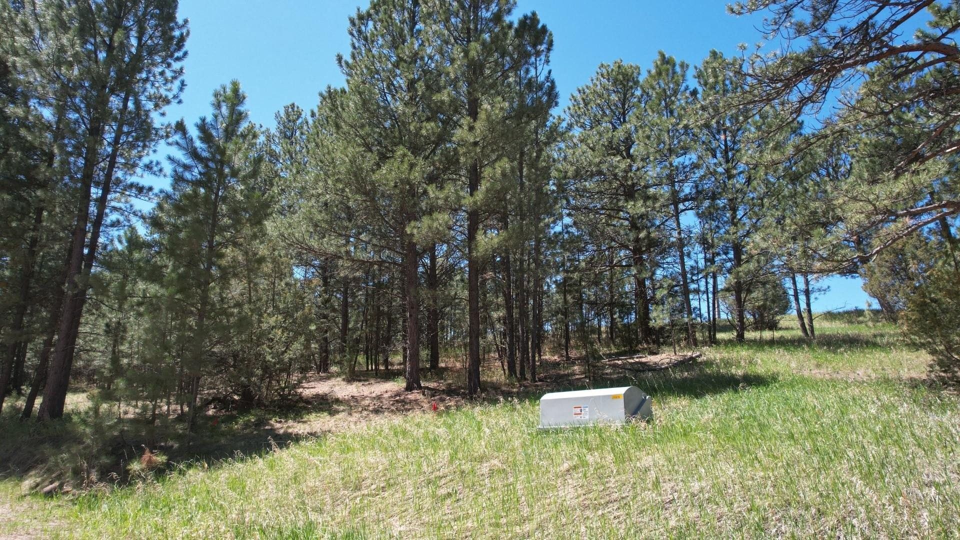 Newcastle, Weston County, WY Undeveloped Land, Homesites for sale