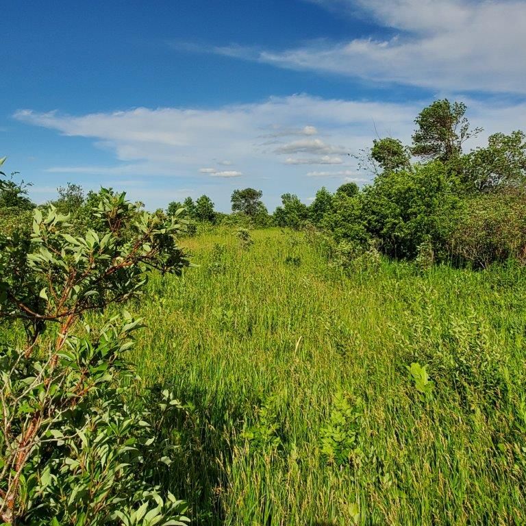 Osakis, Todd County, MN Undeveloped Land for sale Property ID 413994630 LandWatch