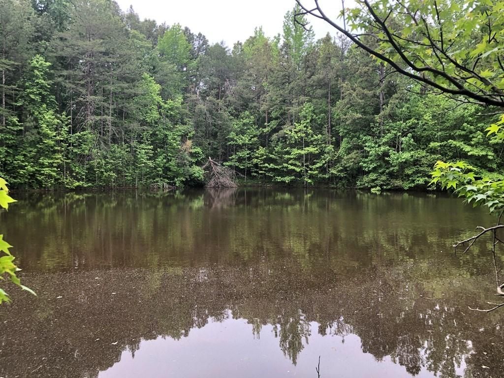 Keysville, Lunenburg County, VA Recreational Property, Timberland