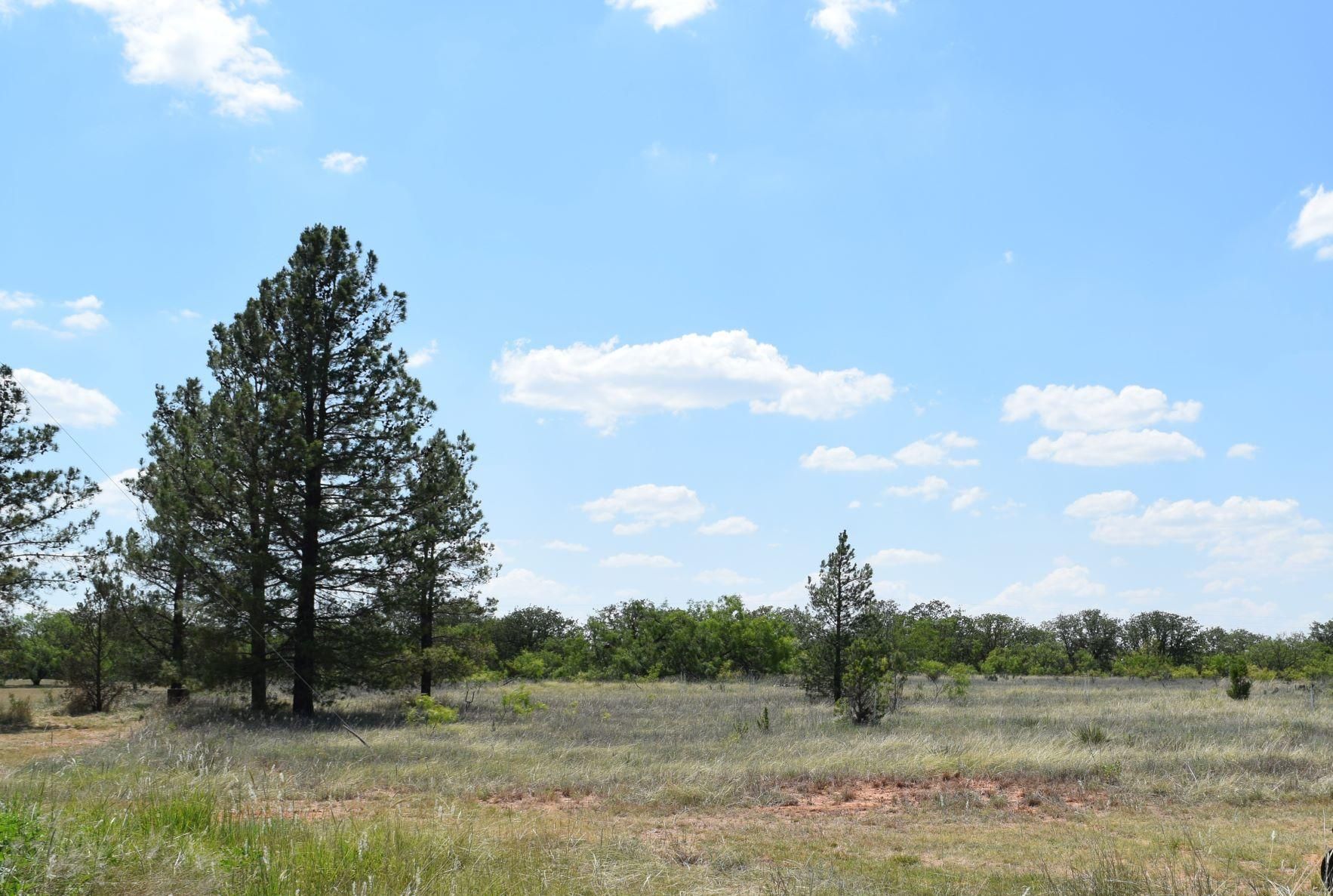 Coleman, Coleman County, TX Farms and Ranches, Hunting Property, House