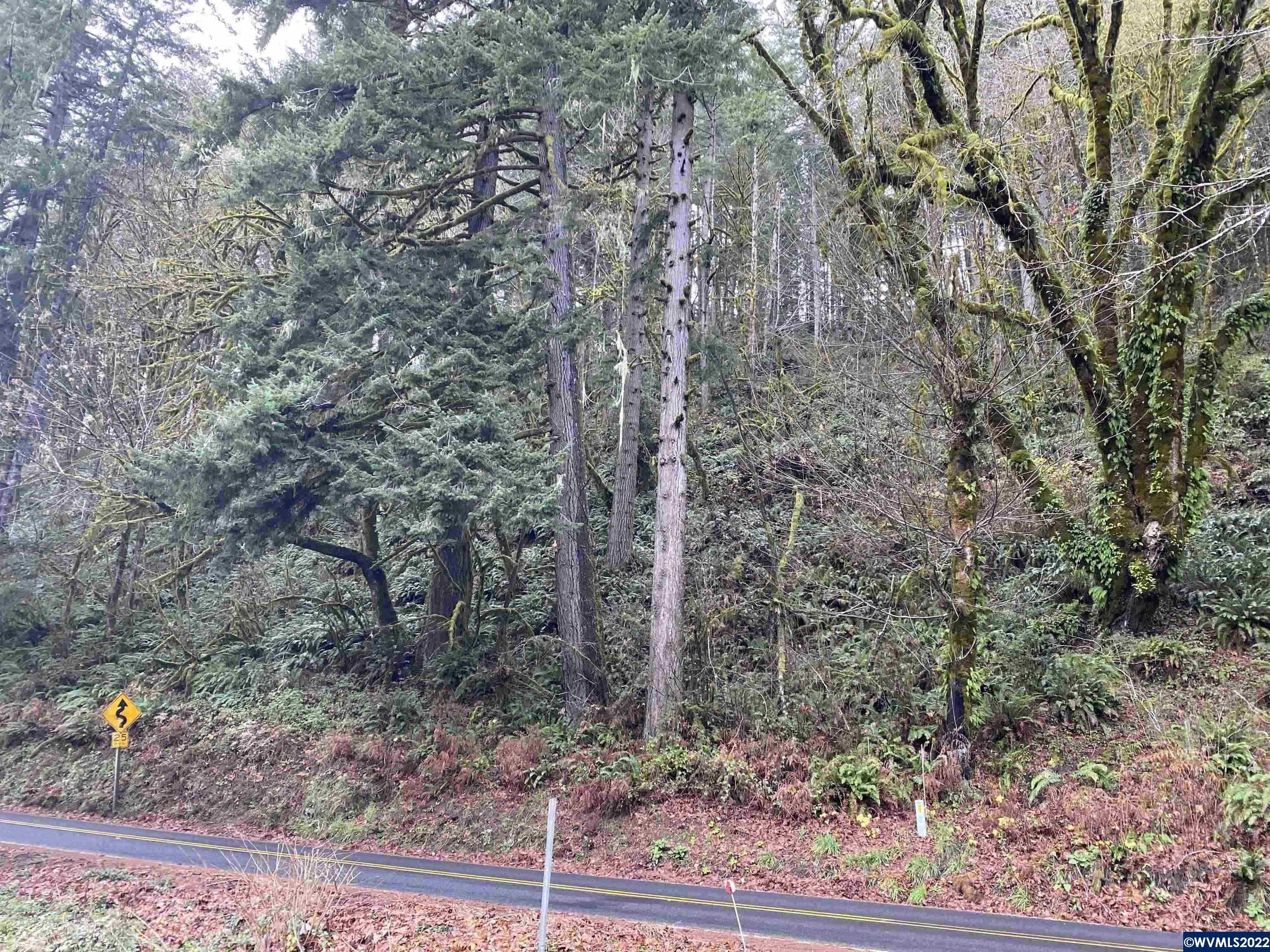 Alsea, Benton County, OR Undeveloped Land, Homesites for sale Property