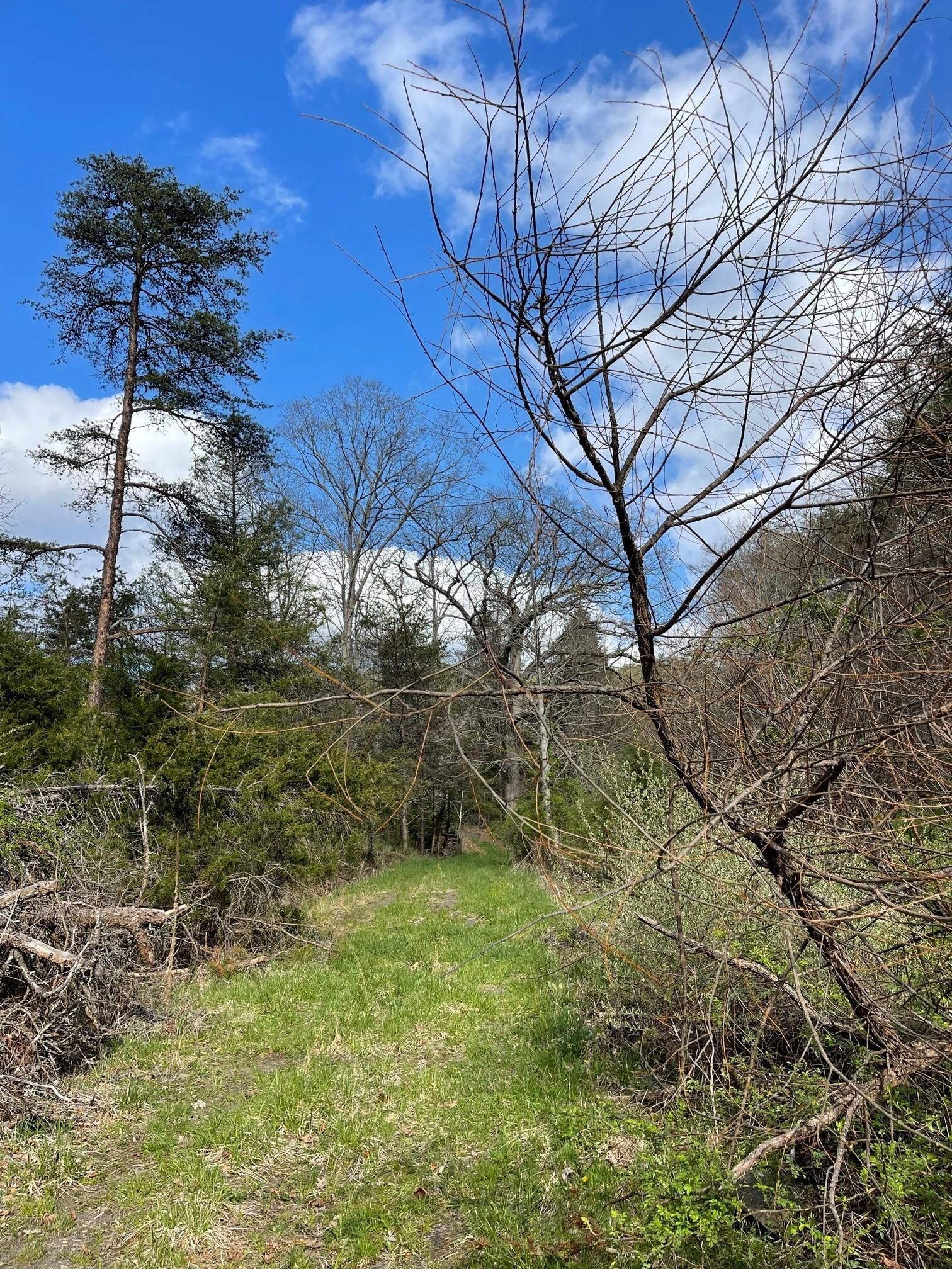 Union, Monroe County, WV Recreational Property, Hunting Property for