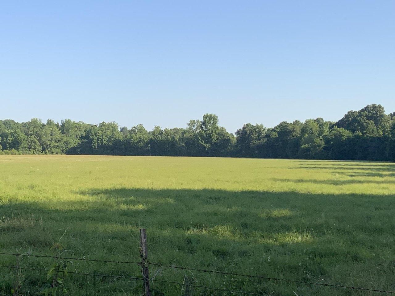 Rector, Clay County, AR Farms and Ranches, Recreational Property, Horse