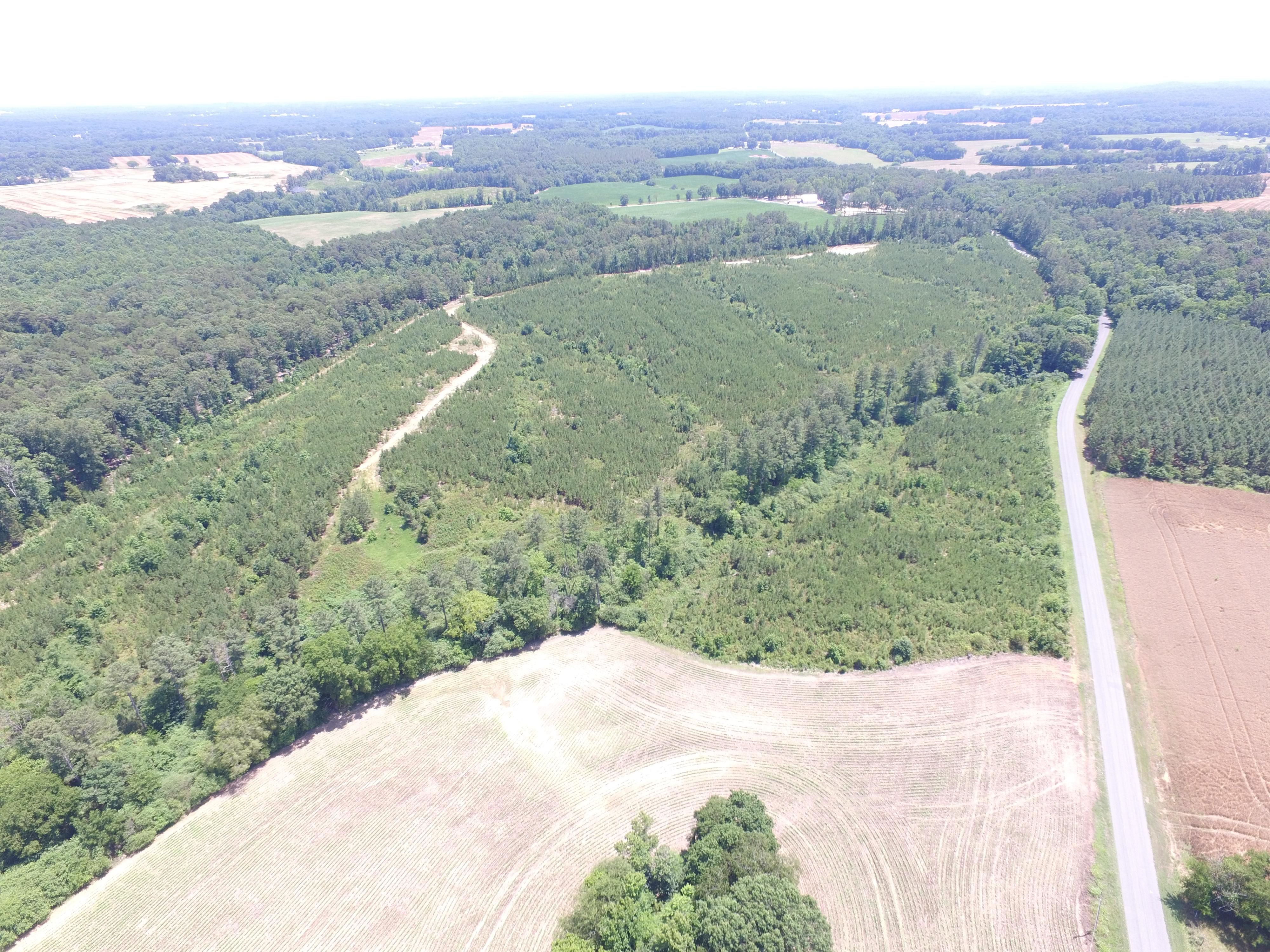 New Salem, Union County, NC Timberland Property, Undeveloped Land for