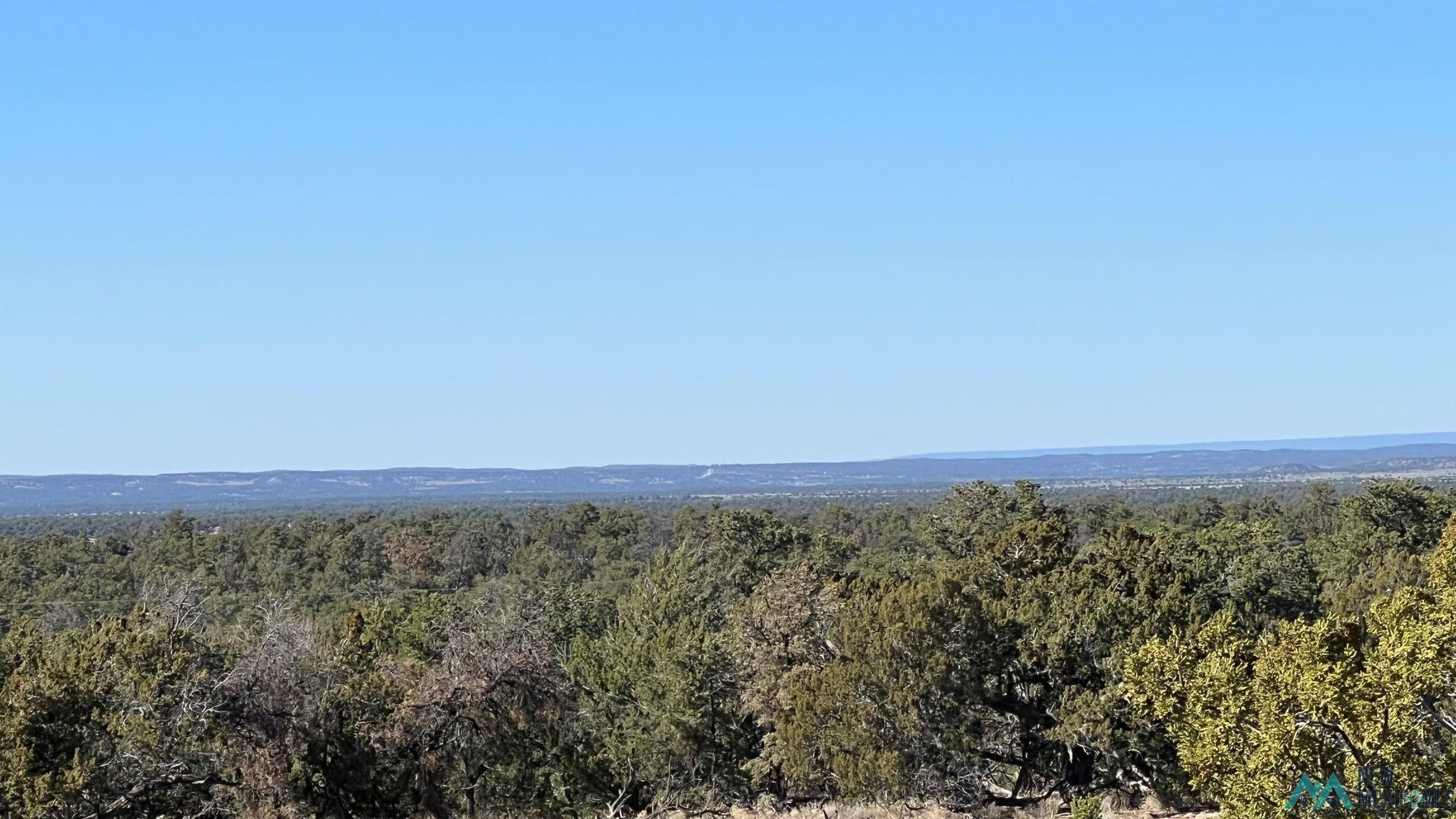Fence Lake, Cibola County, NM Undeveloped Land, Hunting Property for