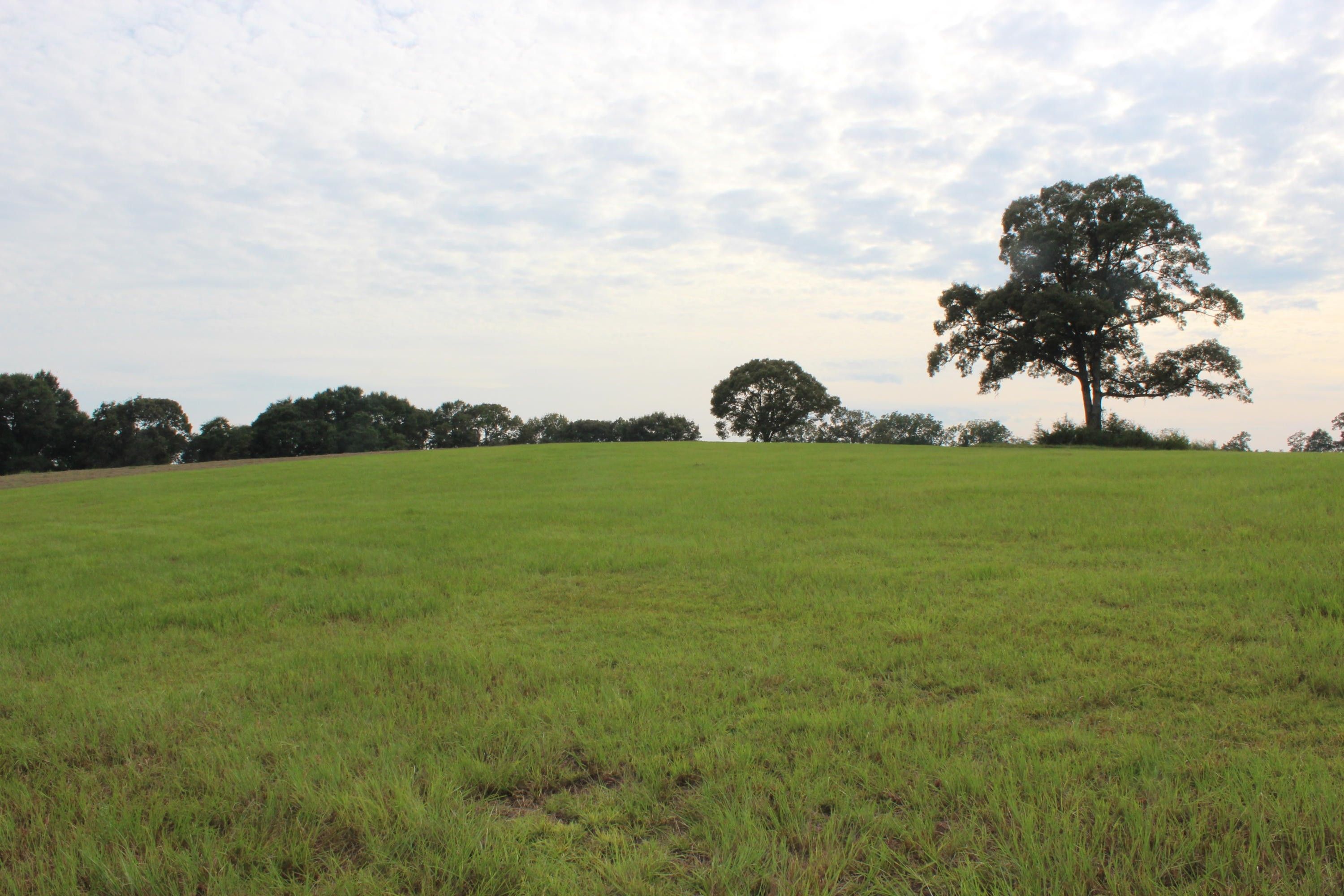Defuniak Springs, Walton County, FL Undeveloped Land, Lakefront