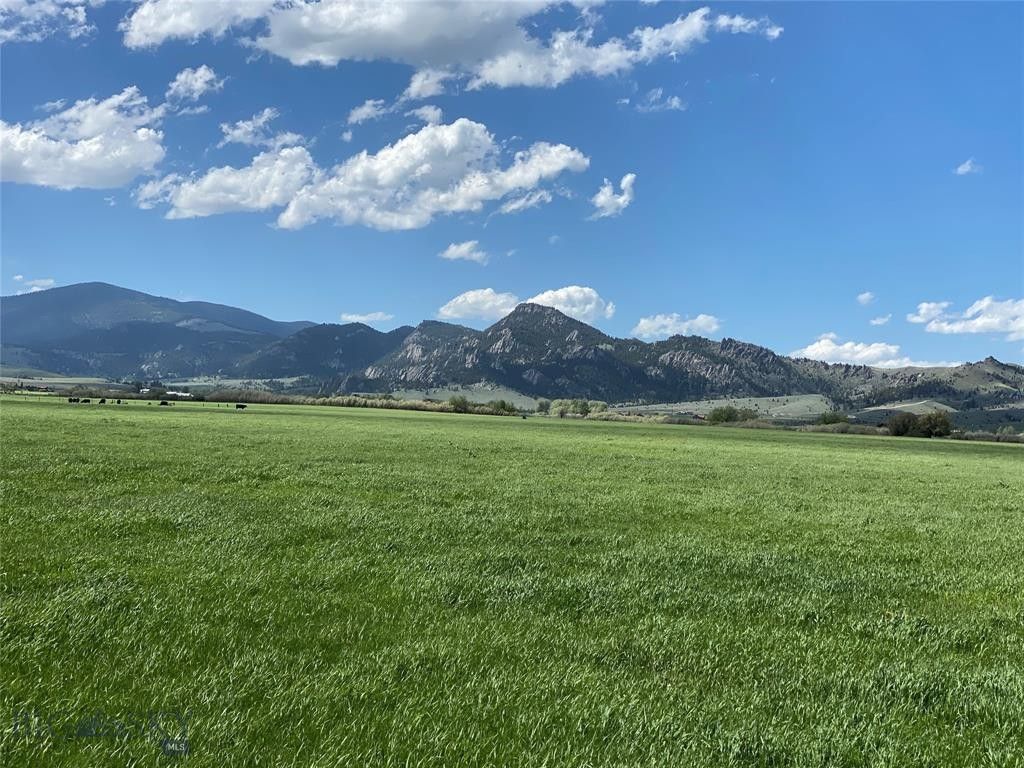 McAllister, Madison County, MT Farms and Ranches for sale Property ID