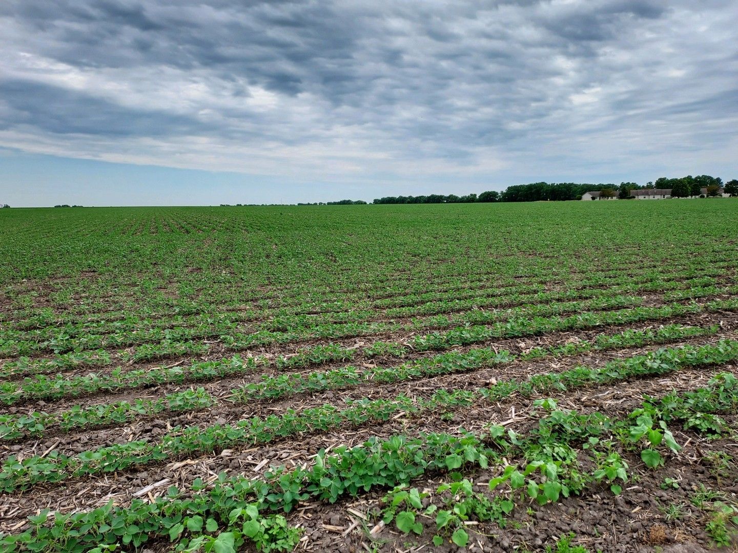 Camargo, Douglas County, IL Farms and Ranches for sale Property ID