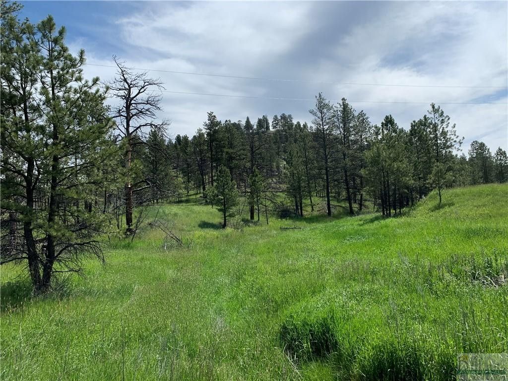 Roundup, Musselshell County, MT Undeveloped Land for sale Property ID