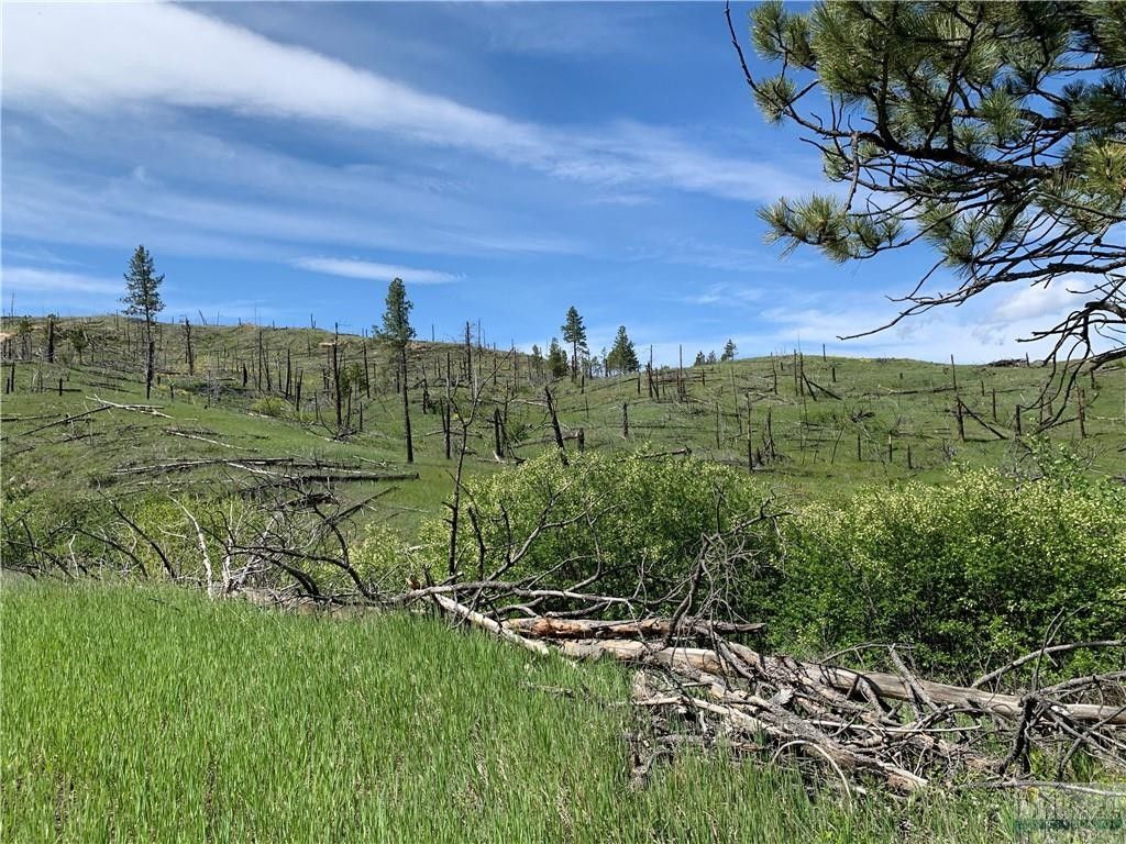 Roundup, Musselshell County, MT Undeveloped Land for sale Property ID