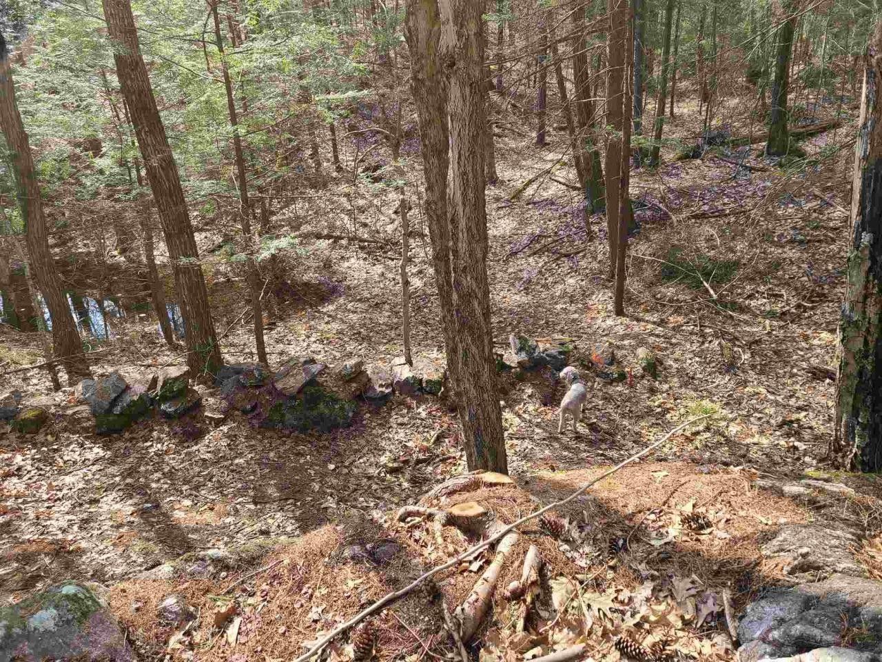 Sullivan, Cheshire County, NH Undeveloped Land for sale Property ID 414003420 LandWatch