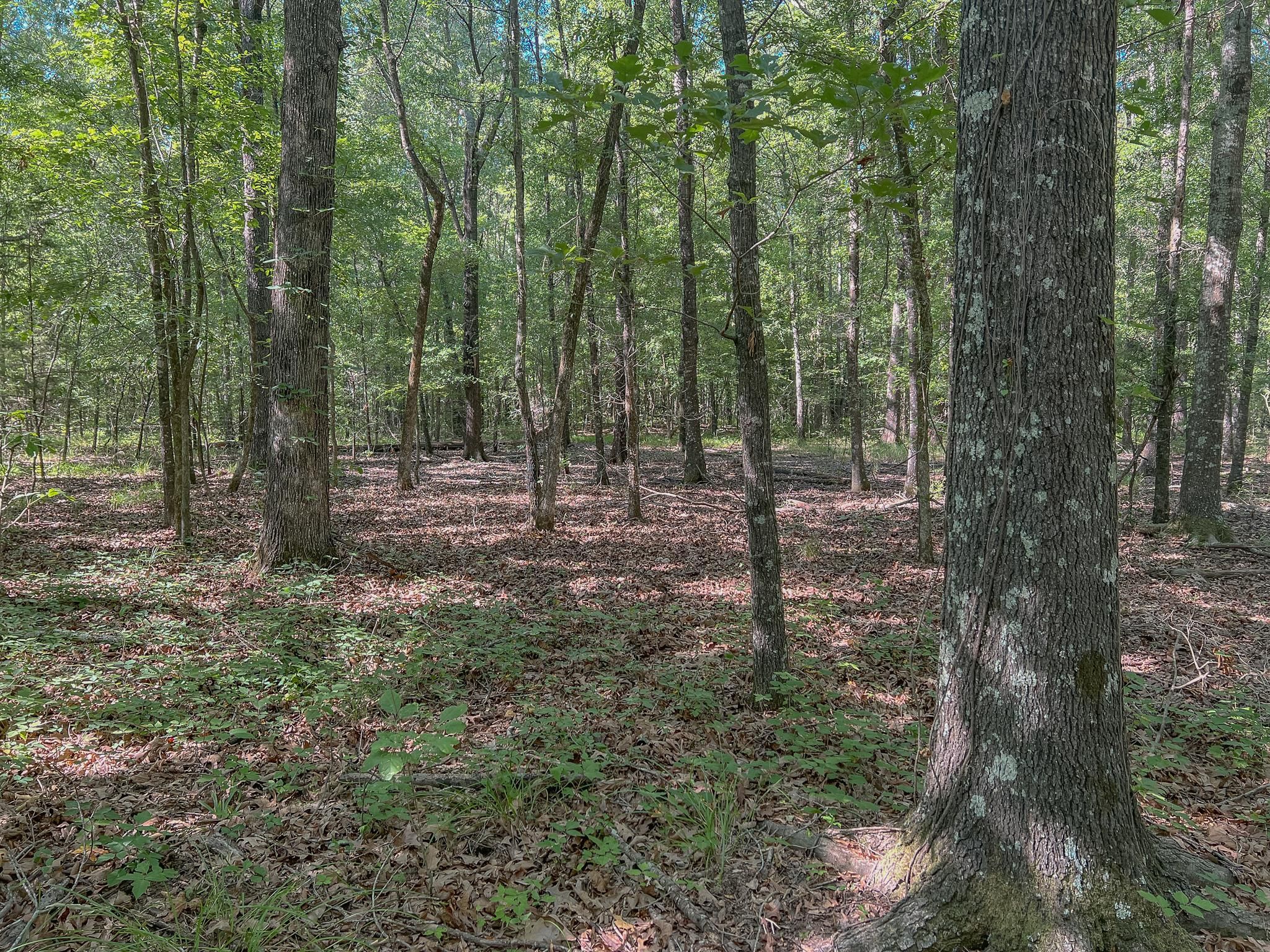 De Kalb, Bowie County, TX Farms and Ranches, Recreational Property
